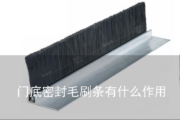 門底密封毛刷條作用 門底密封毛刷條作用