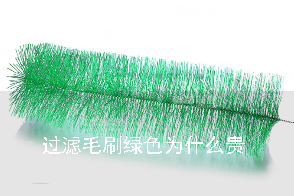 過濾毛刷綠色為什么貴