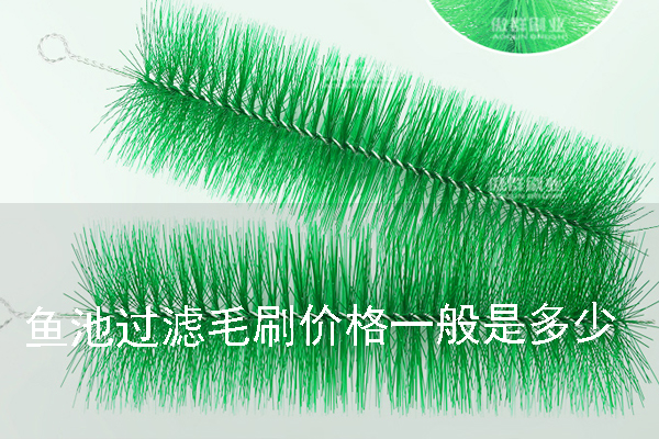 魚池過濾毛刷的價格一般是多少