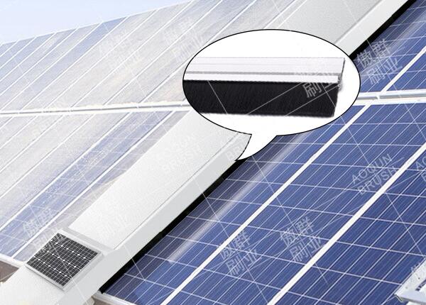 傲群H形條狀光伏板毛刷